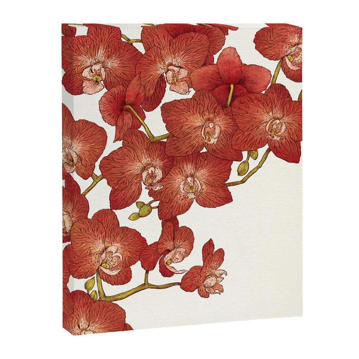 Red Orchids Canvas Print Gallery Image 1