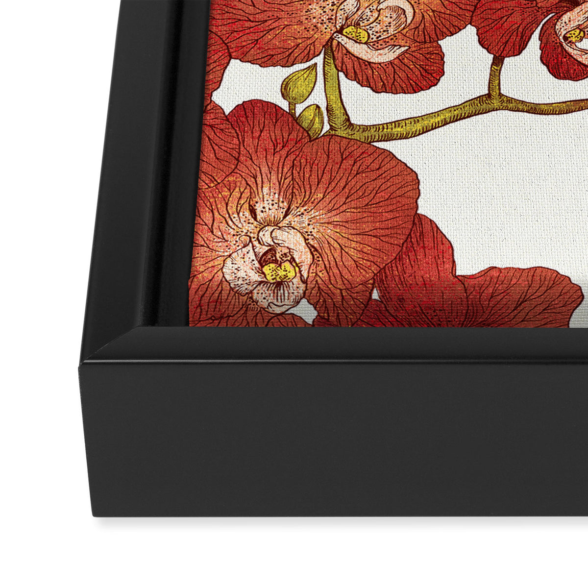 Red Orchids Framed Canvas Print Gallery Image 3