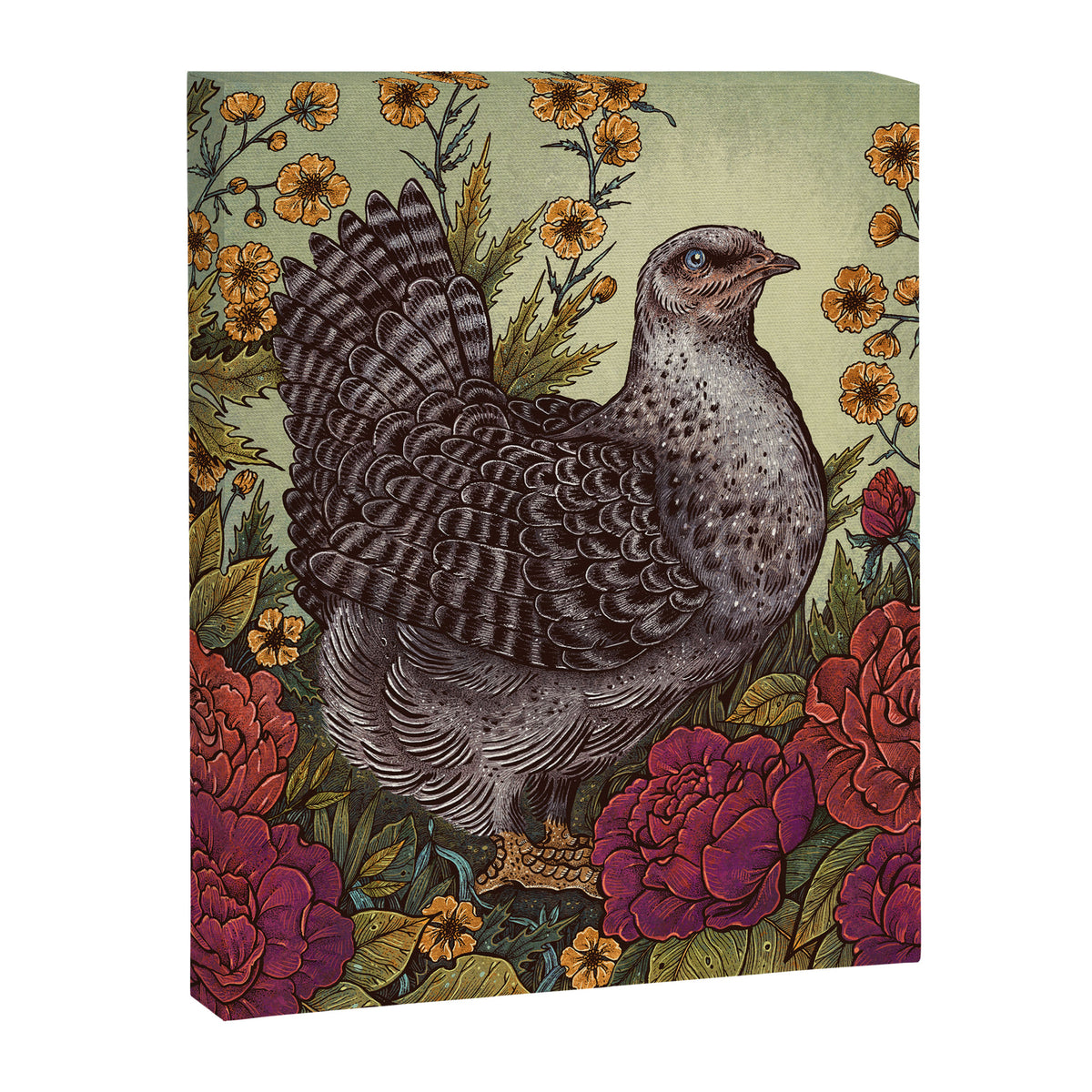Rose Hen Canvas Print Gallery Image 6