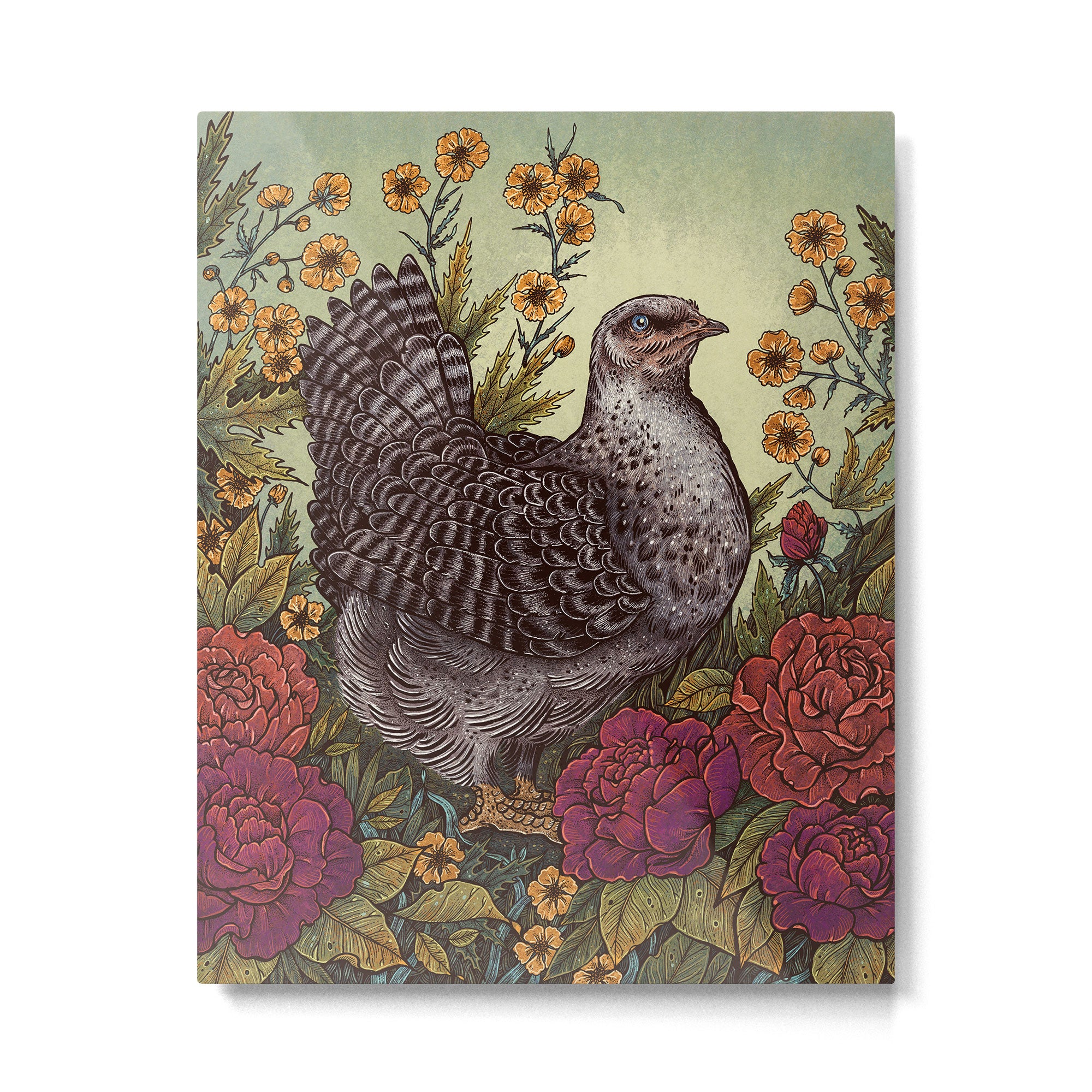 Rose Hen Metal Print Gallery Image 4