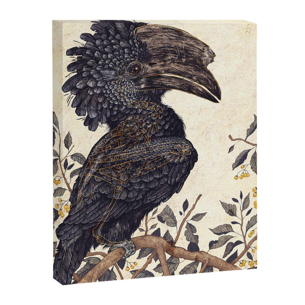 Silvery Cheeked Hornbill Canvas Print Gallery Image 6