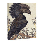 Silvery Cheeked Hornbill Canvas Print Gallery Image 6