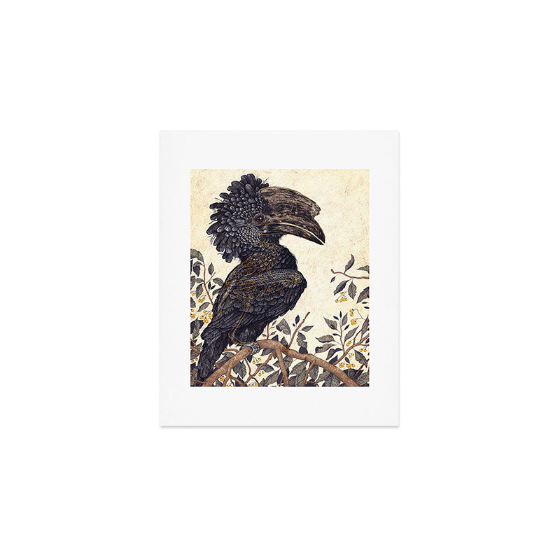 Silvery Cheeked Hornbill Art Print Gallery Image 1