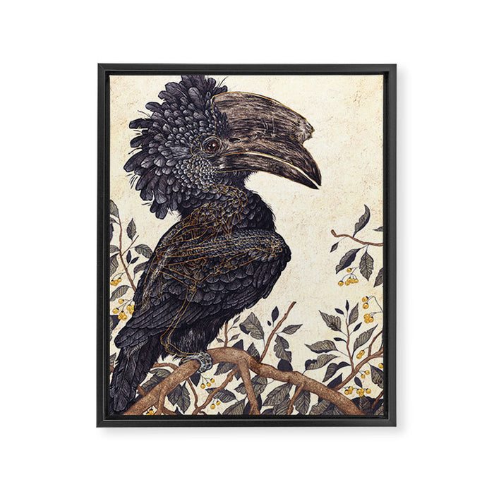 Silvery Cheeked Hornbill Framed Canvas Print Gallery Image 1