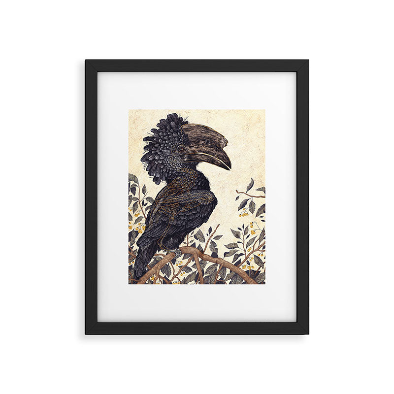 Silvery Cheeked Hornbill Framed Art Print Gallery Image 5