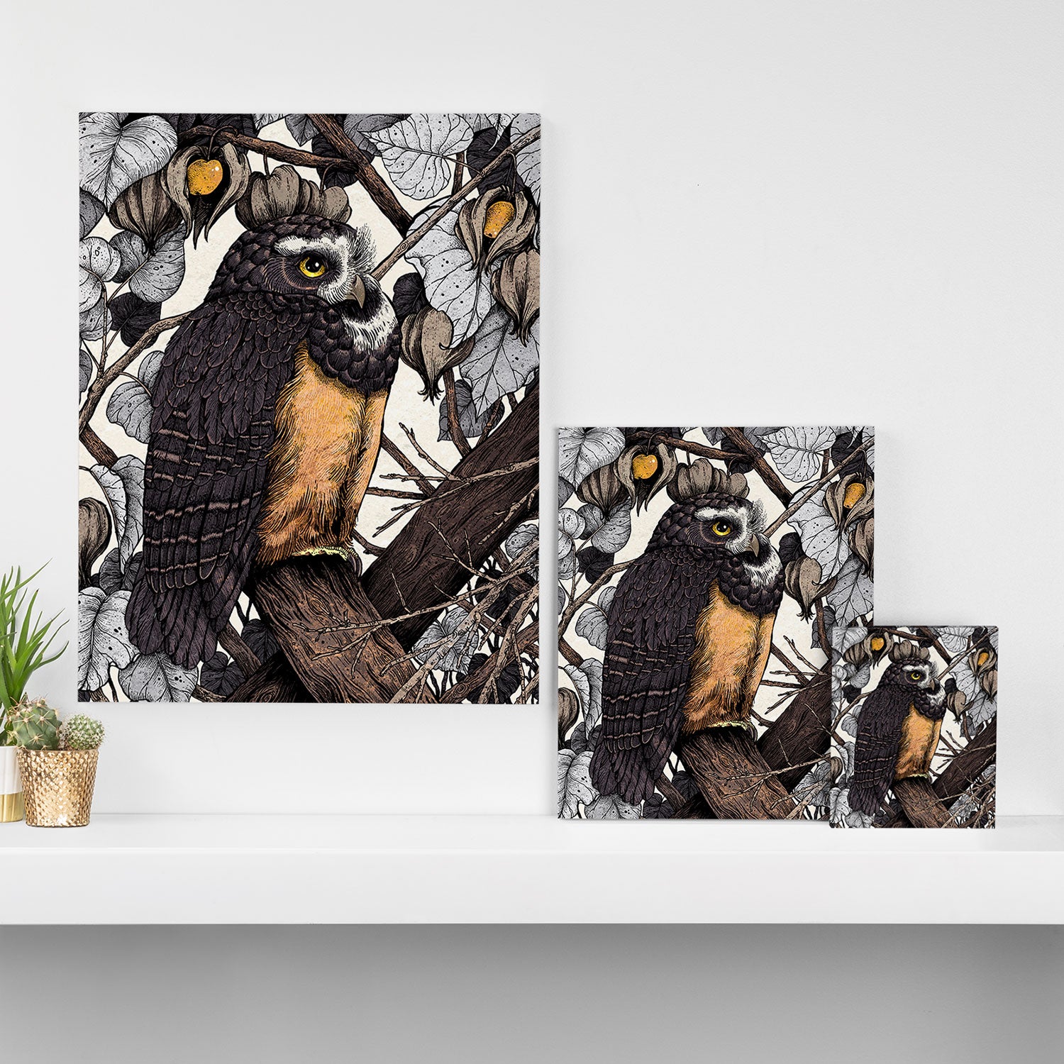 Spectacled Owl Canvas Print Gallery Image 3