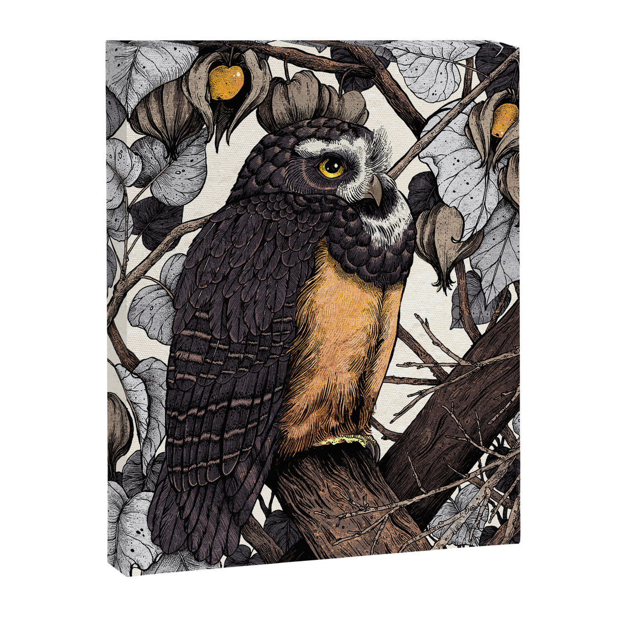 Spectacled Owl Canvas Print Gallery Image 6