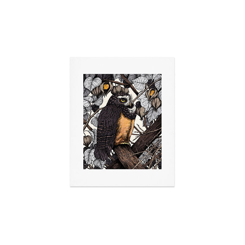 Spectacled Owl Art Print Gallery Image 1