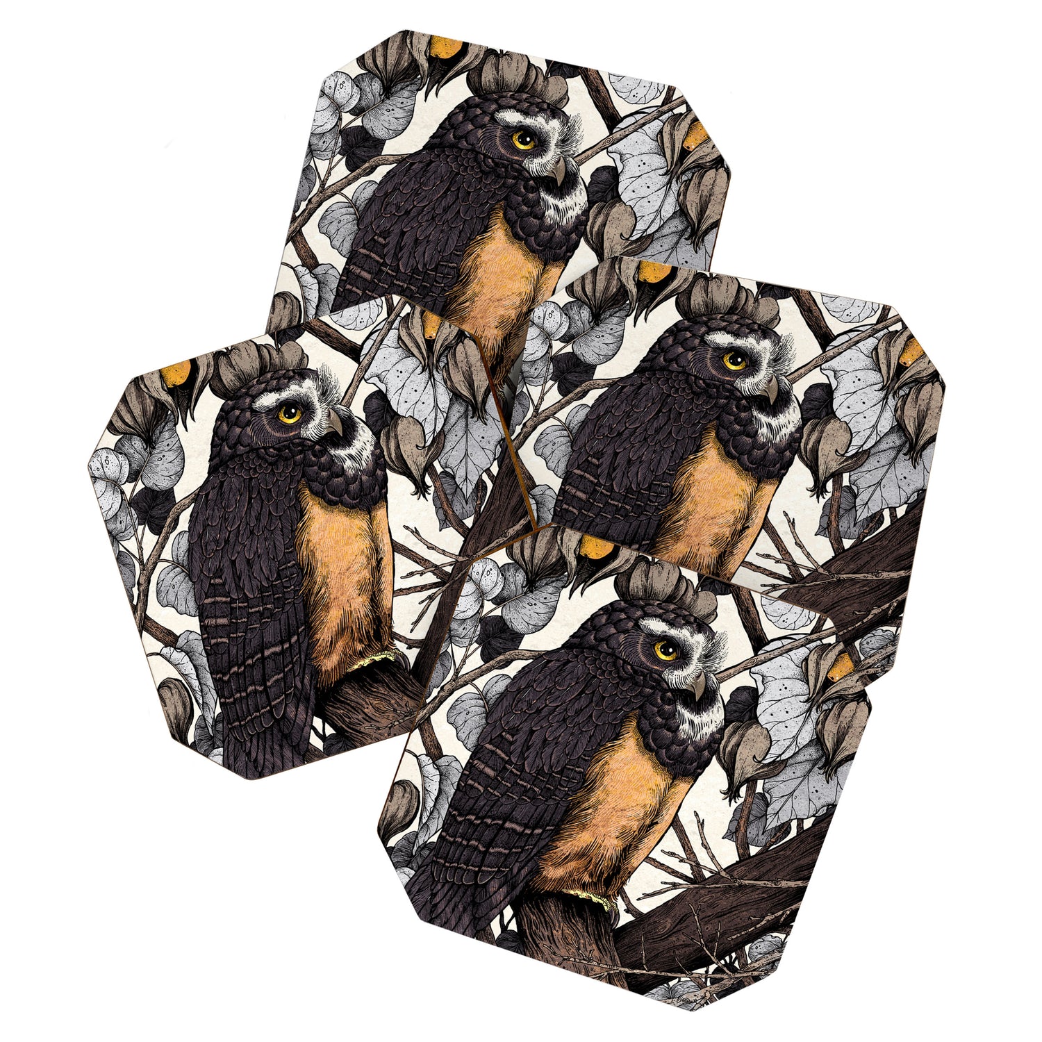 Spectacled Owl Coaster Gallery Image 1