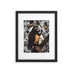 Spectacled Owl Framed Art Print Gallery Image 5