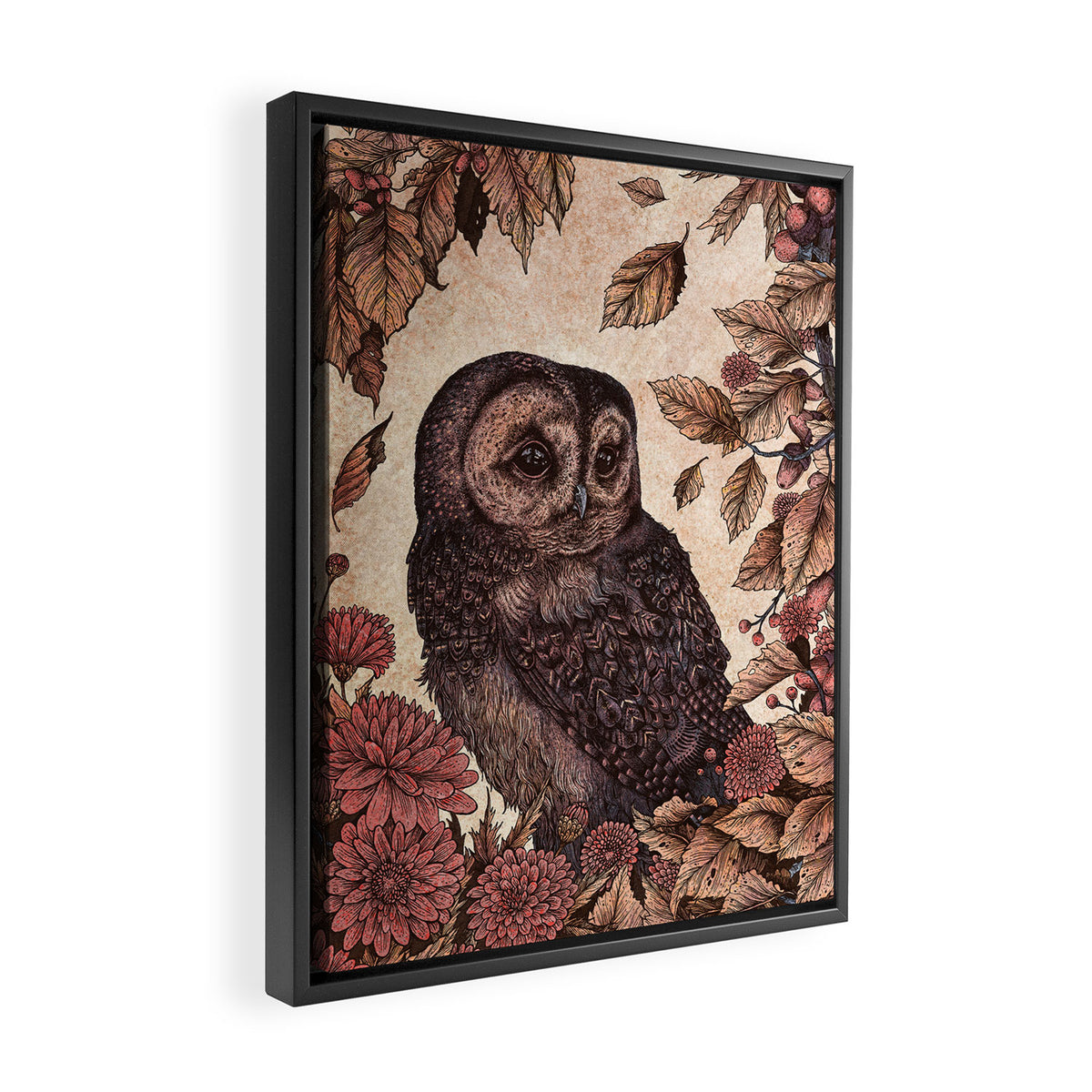 Tawny Owl Pink Framed Canvas Print Gallery Image 2