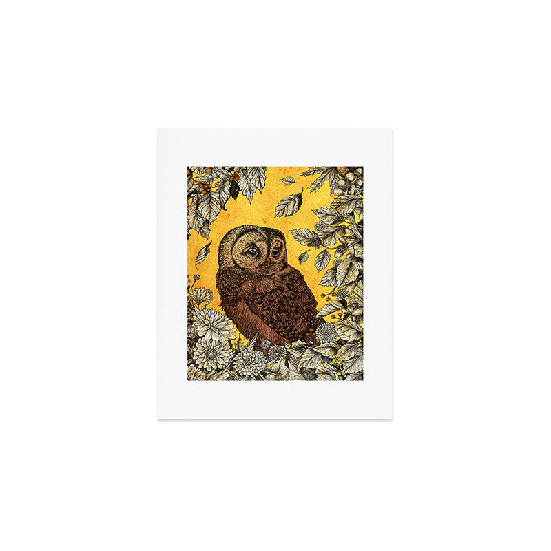 Tawny Owl Yellow Art Print Gallery Image 1