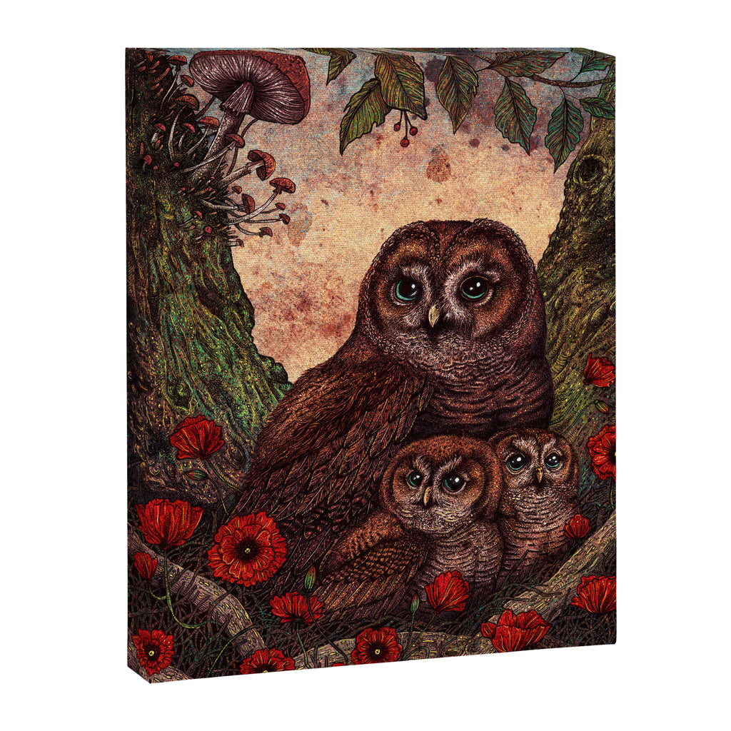 Tawny Owlets Canvas Print Gallery Image 6