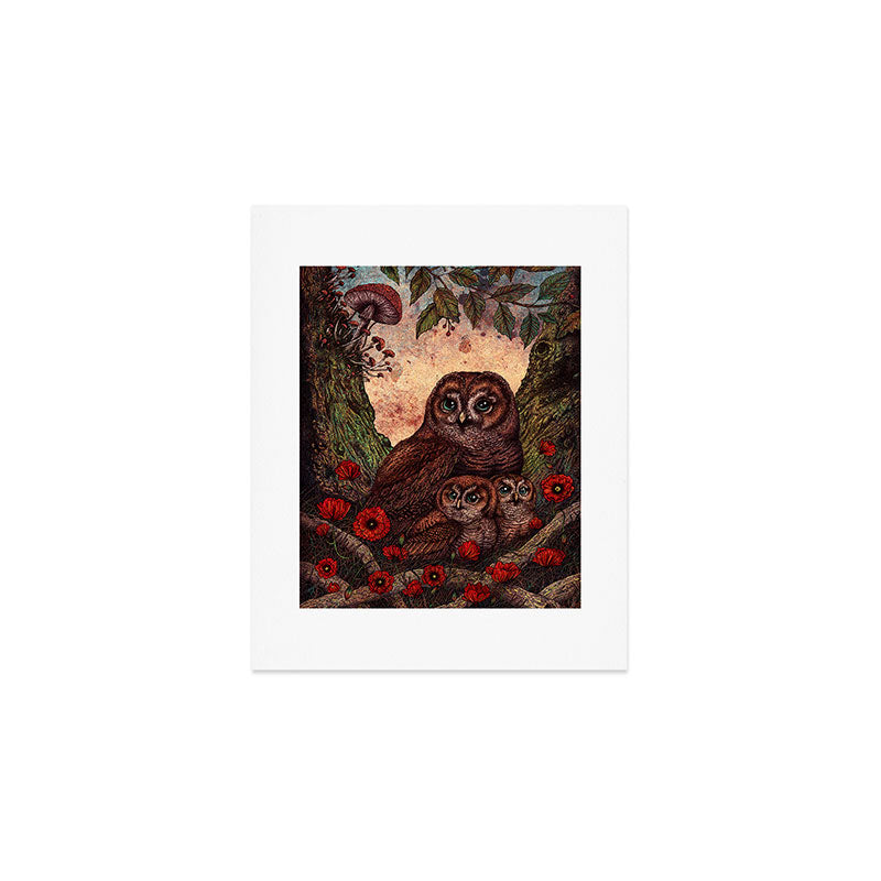 Tawny Owlets Art Print Gallery Image 1