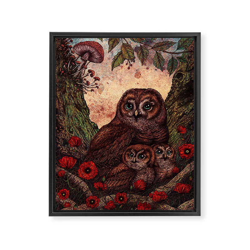 Tawny Owlets Framed Canvas Print Gallery Image 6