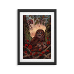 Tawny Owlets Framed Art Print Gallery Image 2