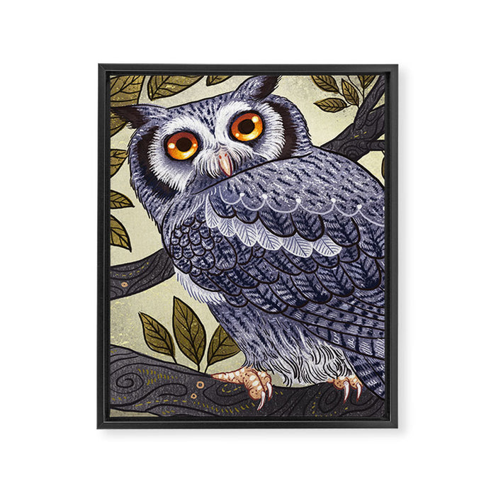 White Faced Owl Framed Canvas Print Gallery Image 1