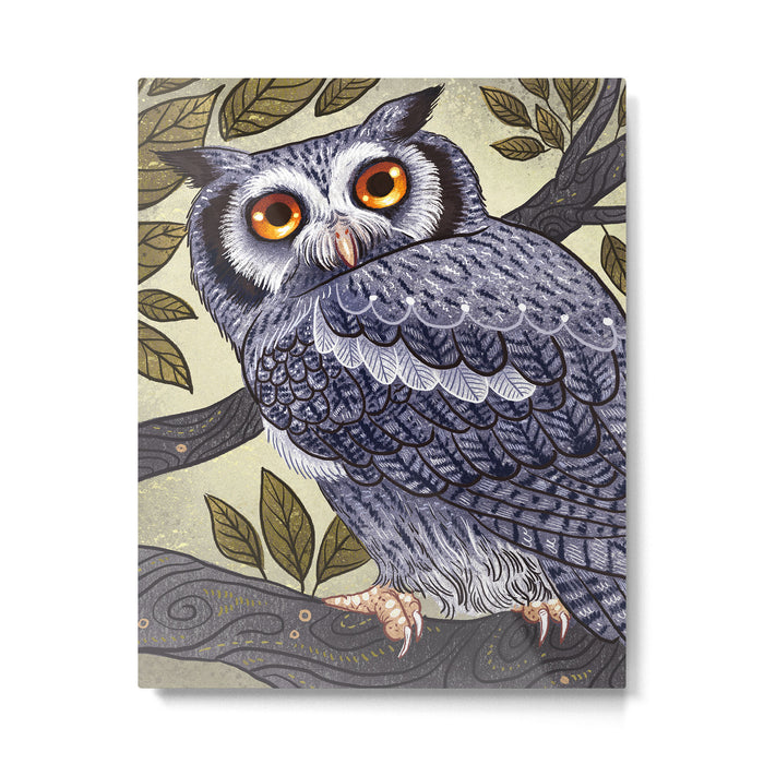 White Faced Owl Metal Print Gallery Image 1