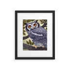 White Faced Owl Framed Art Print Gallery Image 6