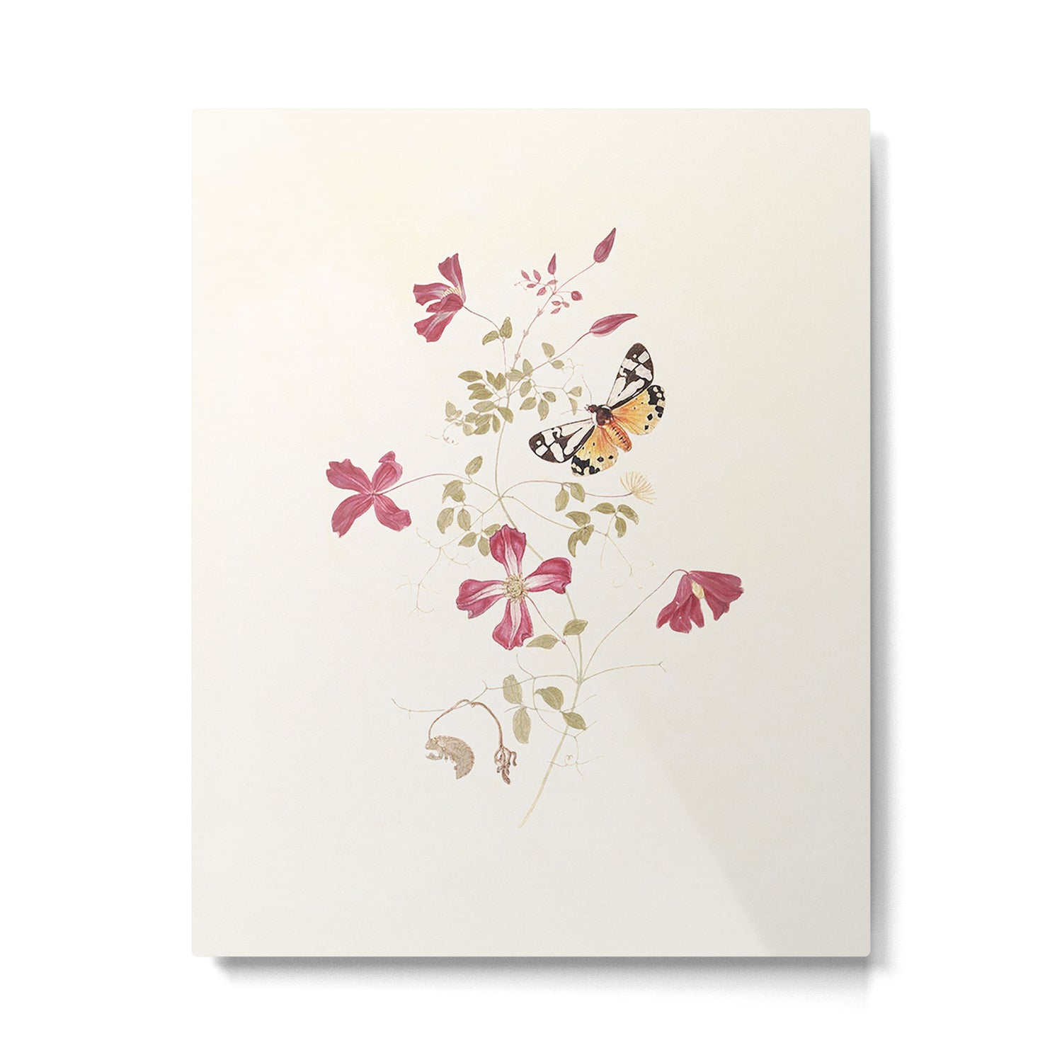 Spring's universal bliss Metal Print Gallery Image 4