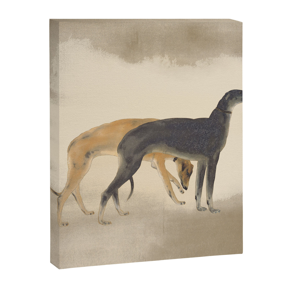 Two Sighthounds Canvas Print Gallery Image 8
