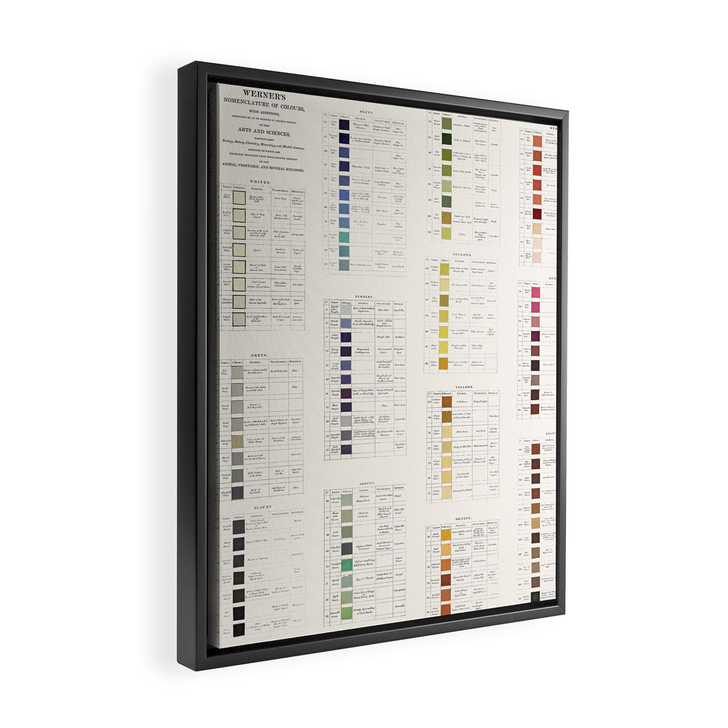 Werner's nomenclature of colour Version II Framed Canvas Print Gallery Image 2
