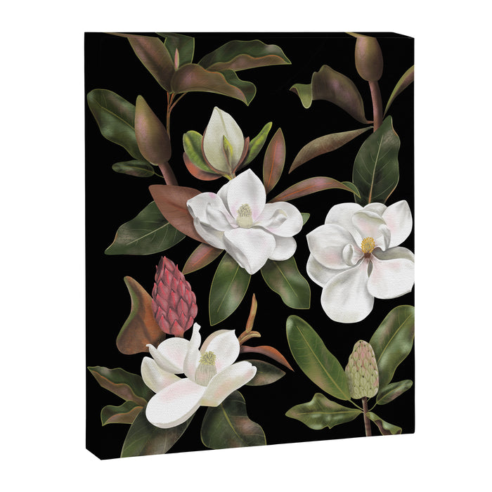 Magnolias Flowers Black Canvas Print Gallery Image 1