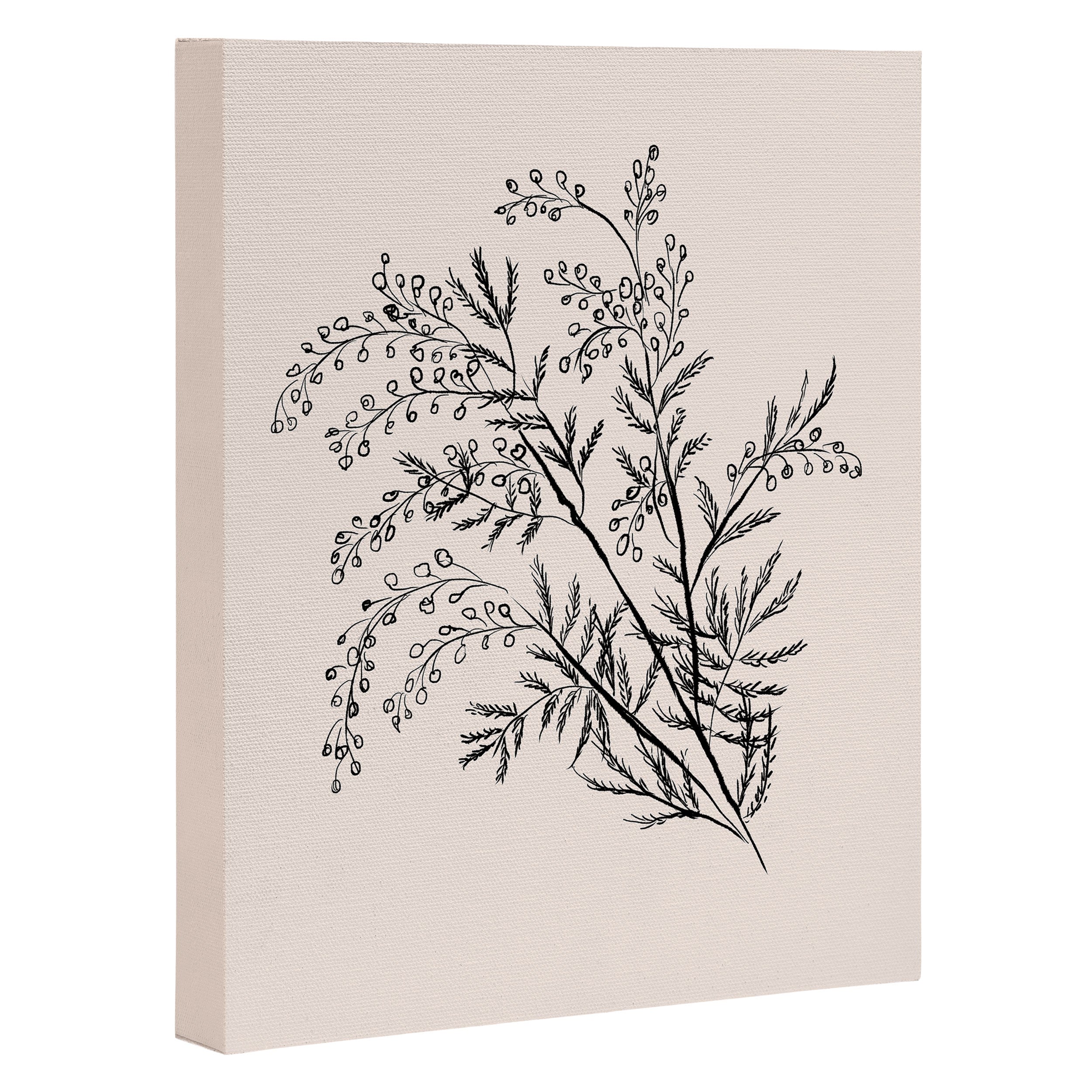 Minimal Acacia Branch Canvas Print Gallery Image 3