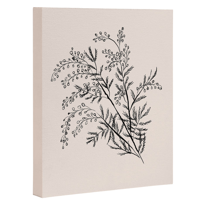 Minimal Acacia Branch Canvas Print Gallery Image 1