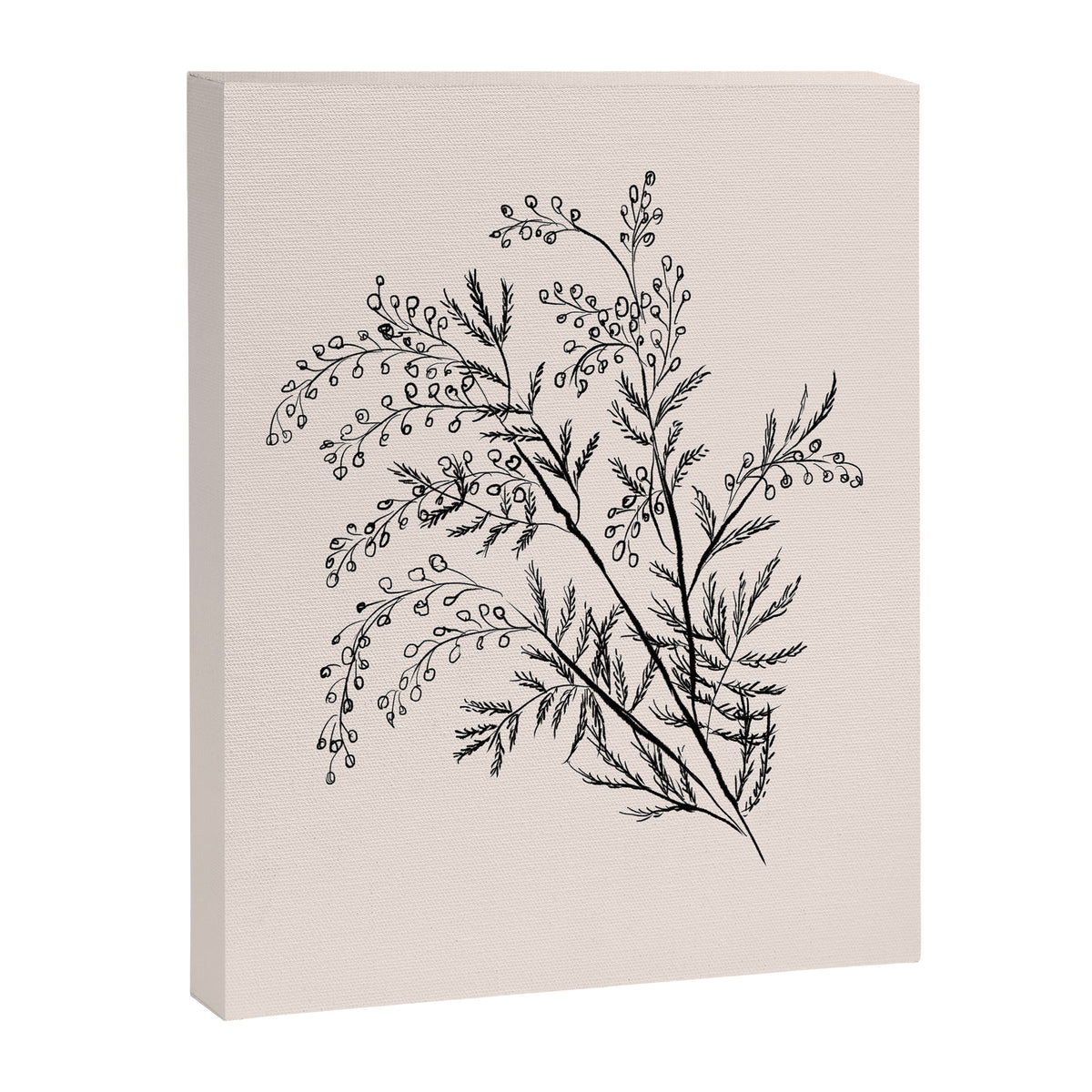 Minimal Acacia Branch Canvas Print Gallery Image 6