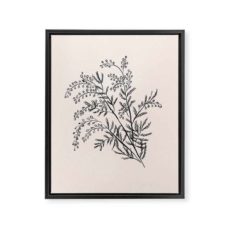 Minimal Acacia Branch Framed Canvas Print Gallery Image 6
