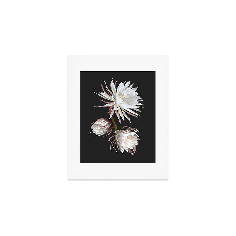 Queen of the Night Art Print Gallery Image 1