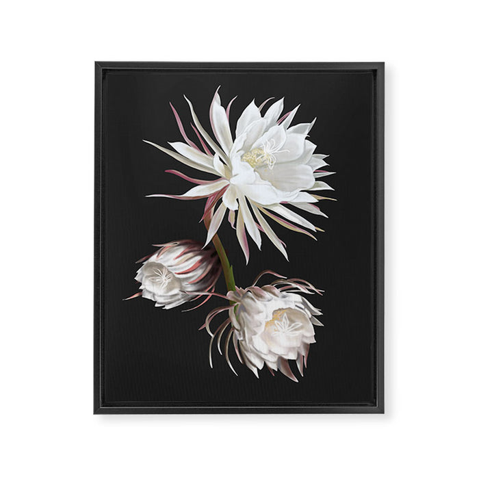 Queen of the Night Framed Canvas Print Gallery Image 1