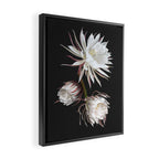 Queen of the Night Framed Canvas Print Gallery Image 2