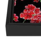 Red Geranium with black background Framed Canvas Print Gallery Image 3