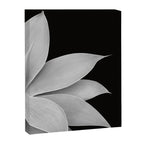 Agave Finesse #2 #tropical #decor #art #society6 Canvas Print Gallery Image 8