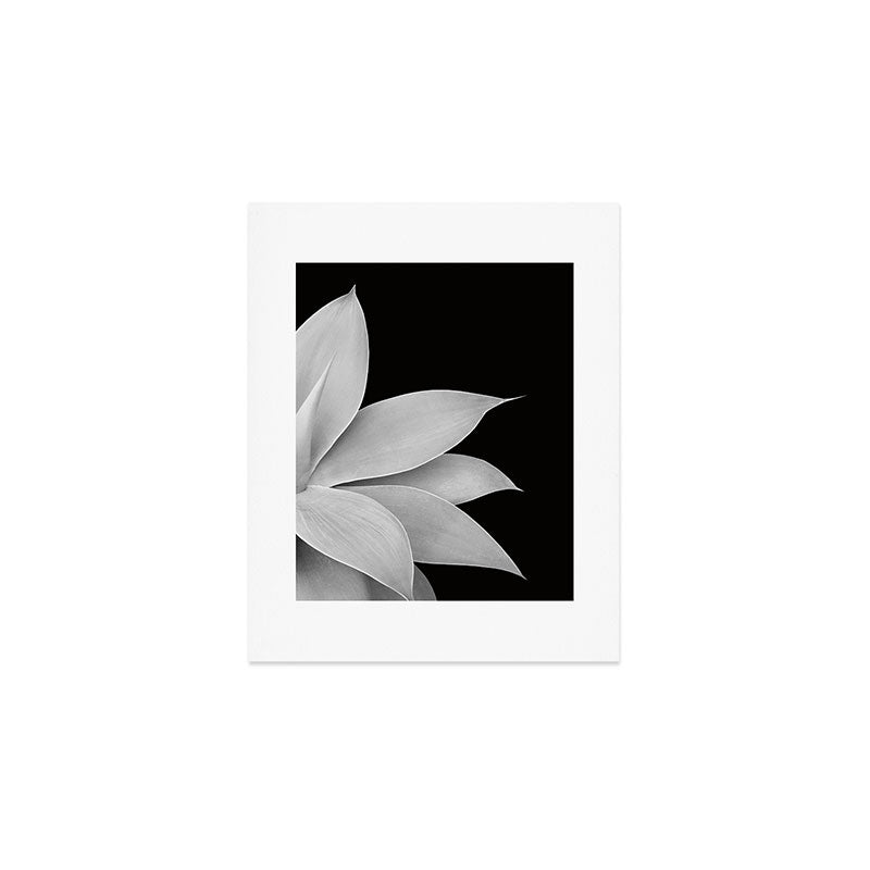Agave Finesse #2 #tropical #decor #art #society6 Art Print Gallery Image 1