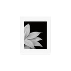 Agave Finesse #2 #tropical #decor #art #society6 Art Print Gallery Image 1