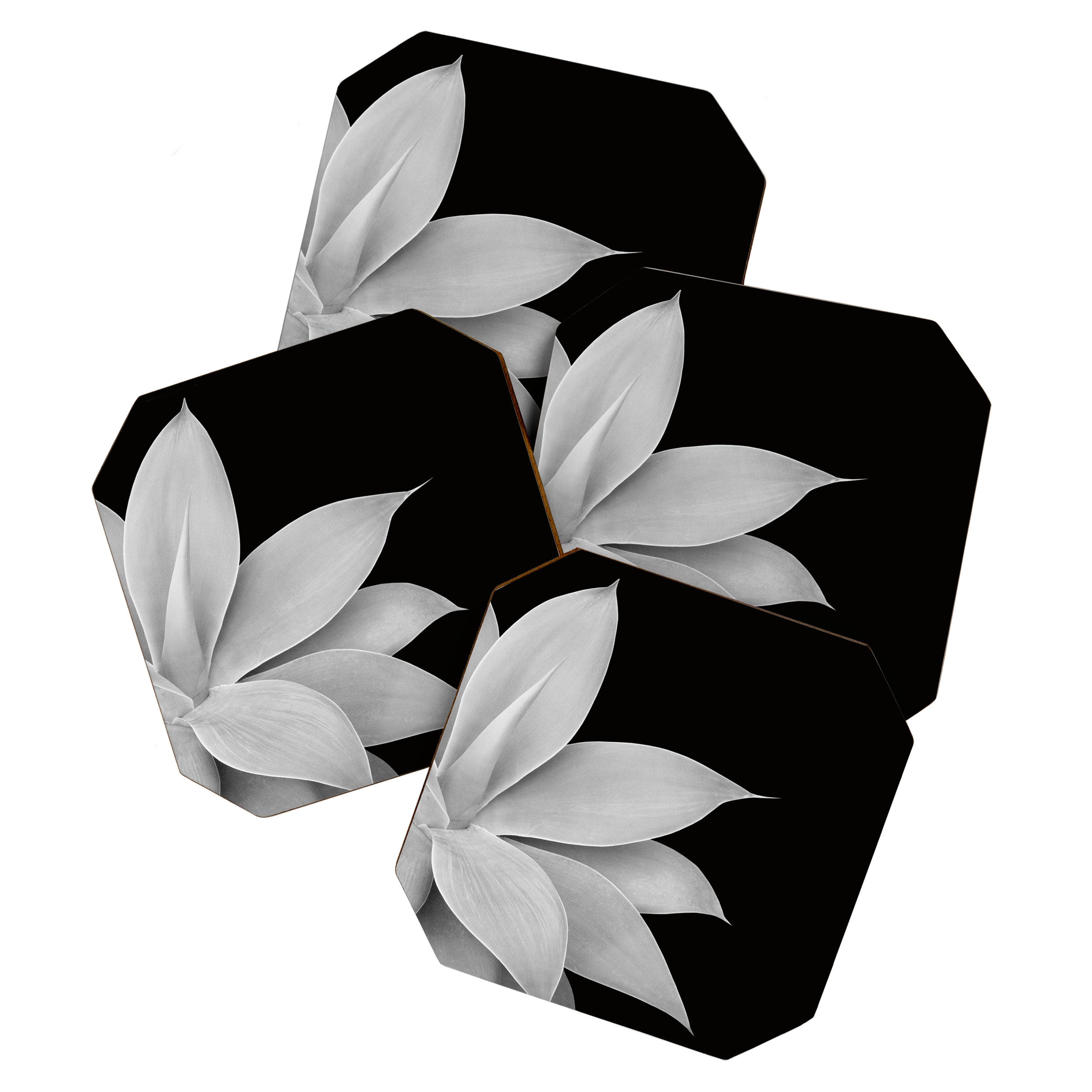 Agave Finesse #2 #tropical #decor #art #society6 Coaster Gallery Image 1