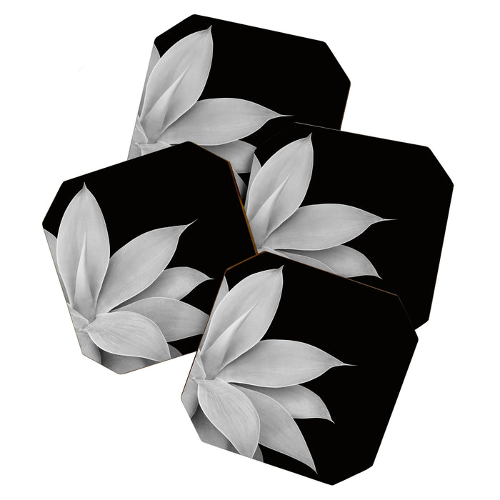 Agave Finesse #2 #tropical #decor #art #society6 Coaster Gallery Image 1