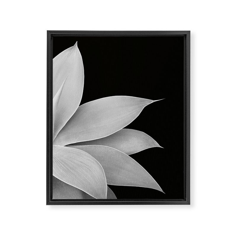 Agave Finesse #2 #tropical #decor #art #society6 Framed Canvas Print Gallery Image 8