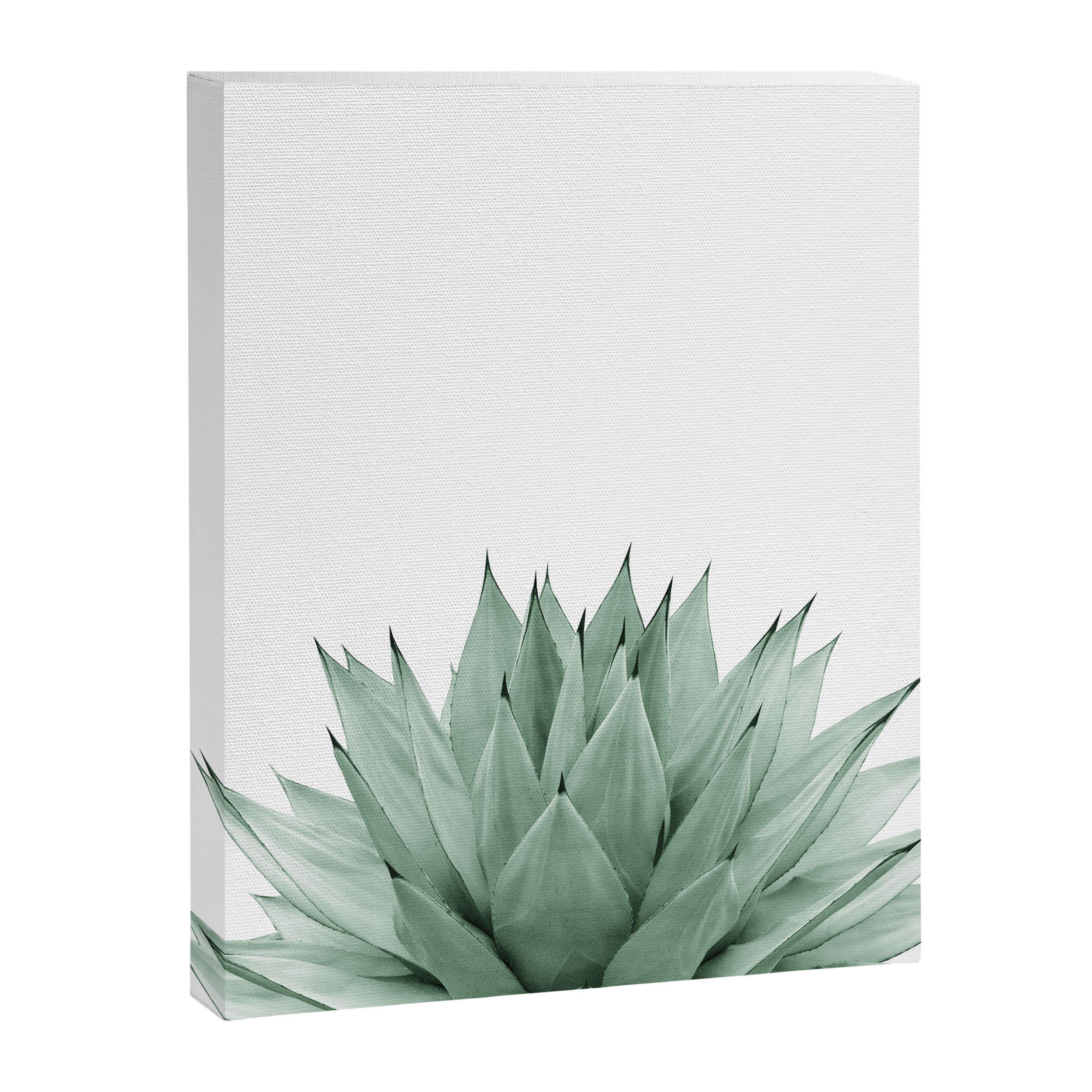 Agave Green Summer Vibes #1 #tropical #decor #art #society6 Canvas Print Gallery Image 8