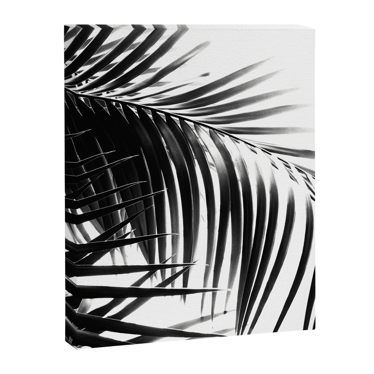 Palm Leaves Black & White Vibes #3 #tropical #decor #art #society6 Canvas Print Gallery Image 6