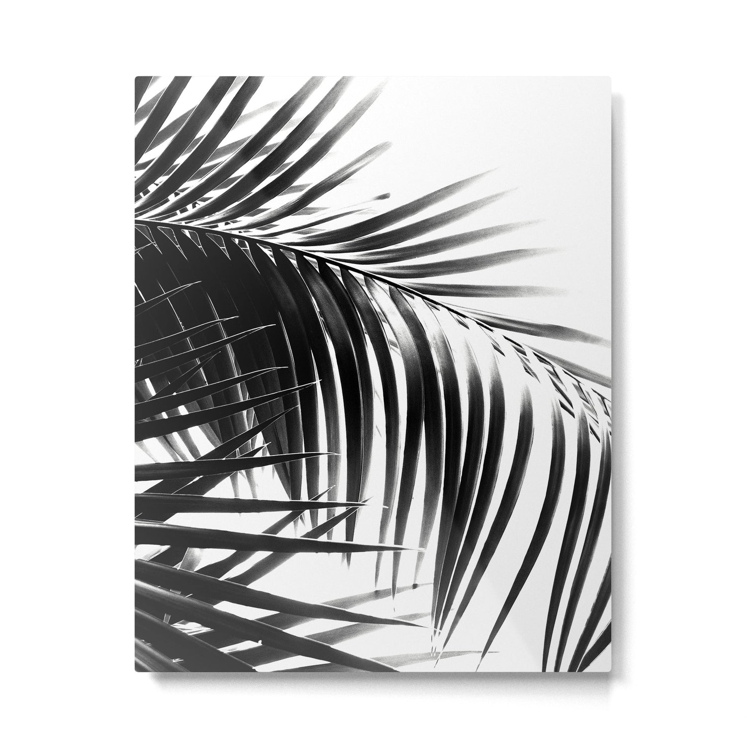 Palm Leaves Black & White Vibes #3 #tropical #decor #art #society6 Metal Print Gallery Image 4