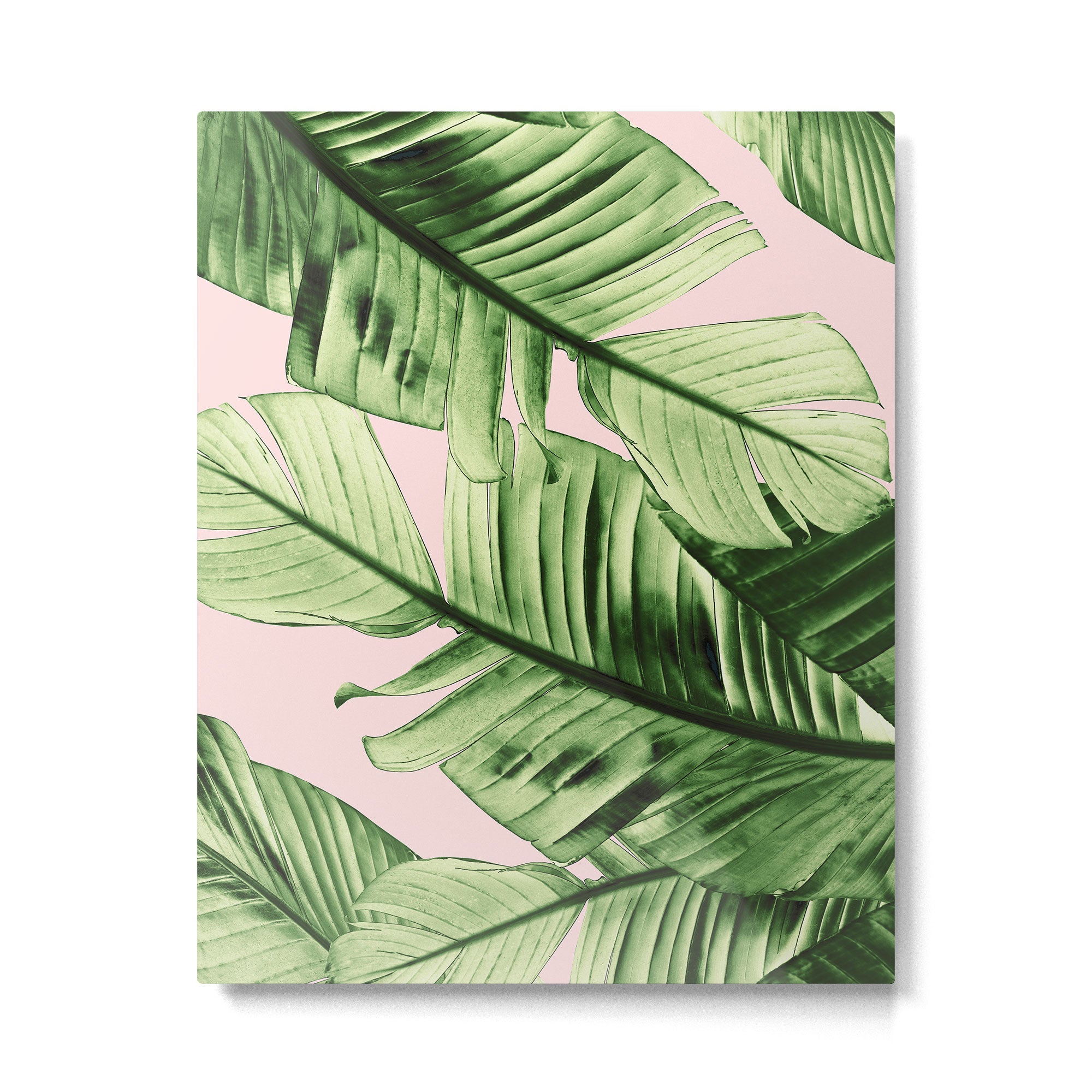 Tropical Blush Banana Leaves Dream #6 #decor #art #society6 Metal Print Gallery Image 4