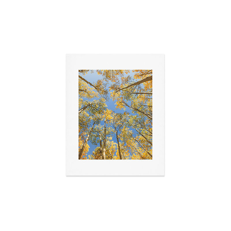 A Walk Among Aspens II Art Print Gallery Image 1
