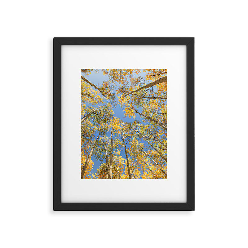 A Walk Among Aspens II Framed Art Print Gallery Image 5