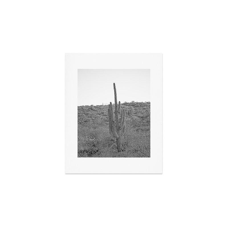 Arizona Landscape Photography x Saguaro National Park Art Print Gallery Image 1