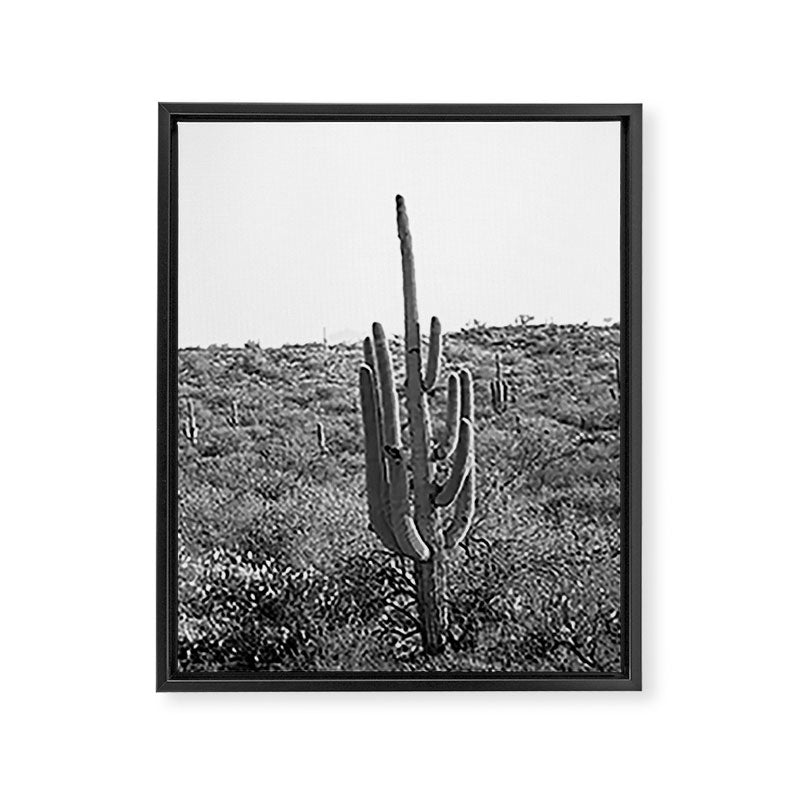 Arizona Landscape Photography x Saguaro National Park Framed Canvas Print Gallery Image 6