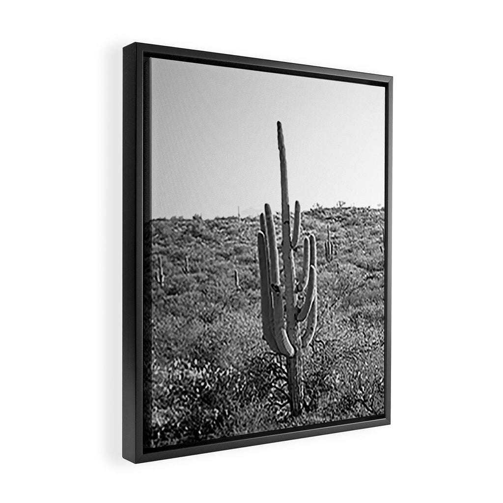 Arizona Landscape Photography x Saguaro National Park Framed Canvas Print Gallery Image 2
